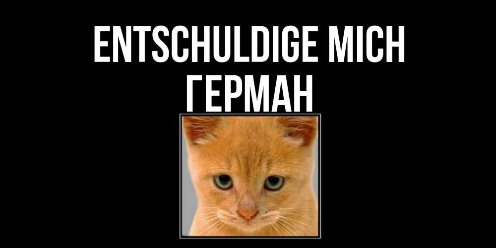 Открытка на каждый день с именем, Герман Entschuldige mich рыжий грустный кот просит прощения Прикольная открытка с пожеланием онлайн скачать бесплатно 