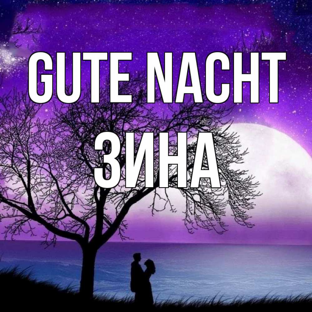 Открытка на каждый день с именем, Зина Gute Nacht огромная луна и парочка Прикольная открытка с пожеланием онлайн скачать бесплатно 
