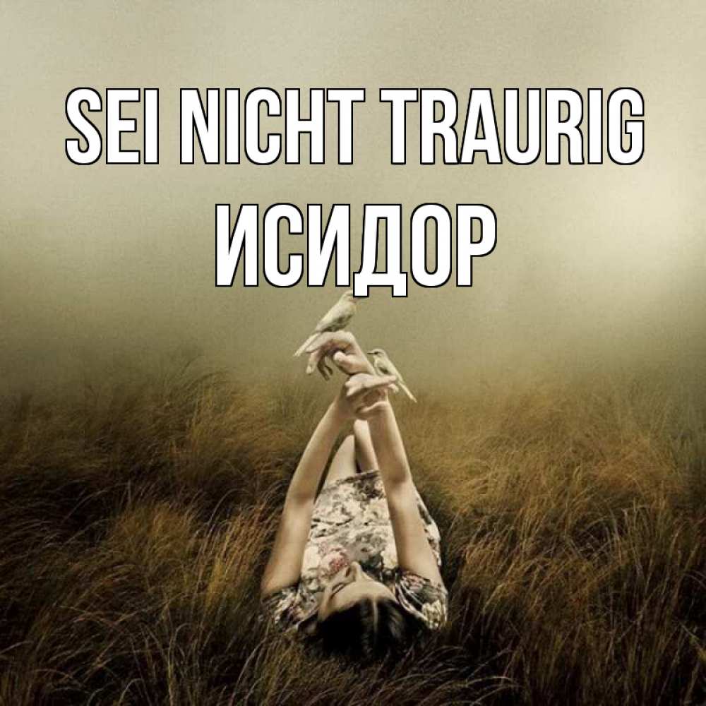 Открытка на каждый день с именем, Исидор Sei nicht traurig поле и туман Прикольная открытка с пожеланием онлайн скачать бесплатно 