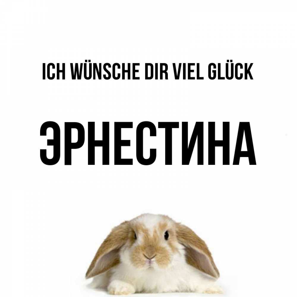 Открытка на каждый день с именем, Эрнестина Ich wünsche dir viel Glück открытки с произвольным текстом который можно вставить в открытку и создать ее самостоятельно бесплатно онлайн Прикольная открытка с пожеланием онлайн скачать бесплатно 