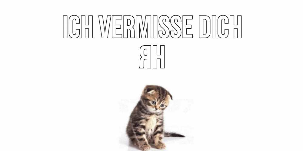 Открытка на каждый день с именем, Ян Ich vermisse dich кот Прикольная открытка с пожеланием онлайн скачать бесплатно 