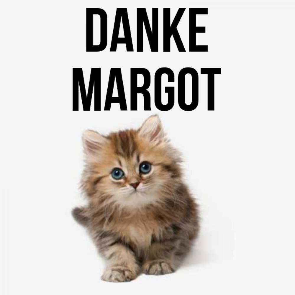 Открытка на каждый день с именем, Margot Danke пушистый котик Прикольная открытка с пожеланием онлайн скачать бесплатно 