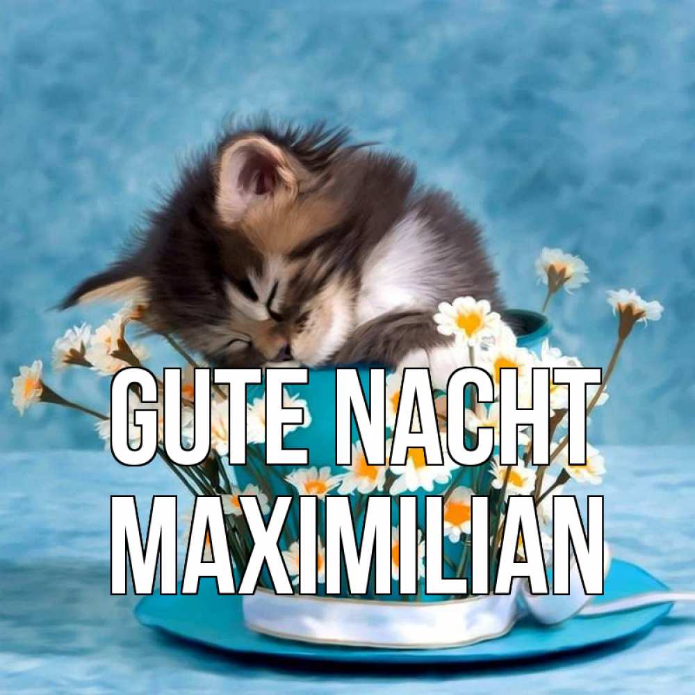 Открытка на каждый день с именем, Maximilian Gute Nacht котенок спит в кружке с блюдцем Прикольная открытка с пожеланием онлайн скачать бесплатно 