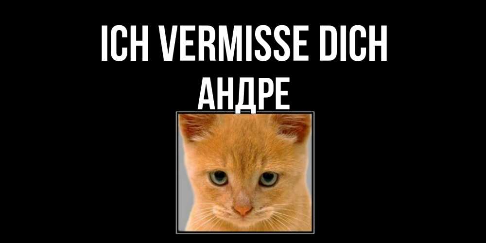 Открытка на каждый день с именем, Андре Ich vermisse dich открытки рыжий котенок скучает по тебе Прикольная открытка с пожеланием онлайн скачать бесплатно 