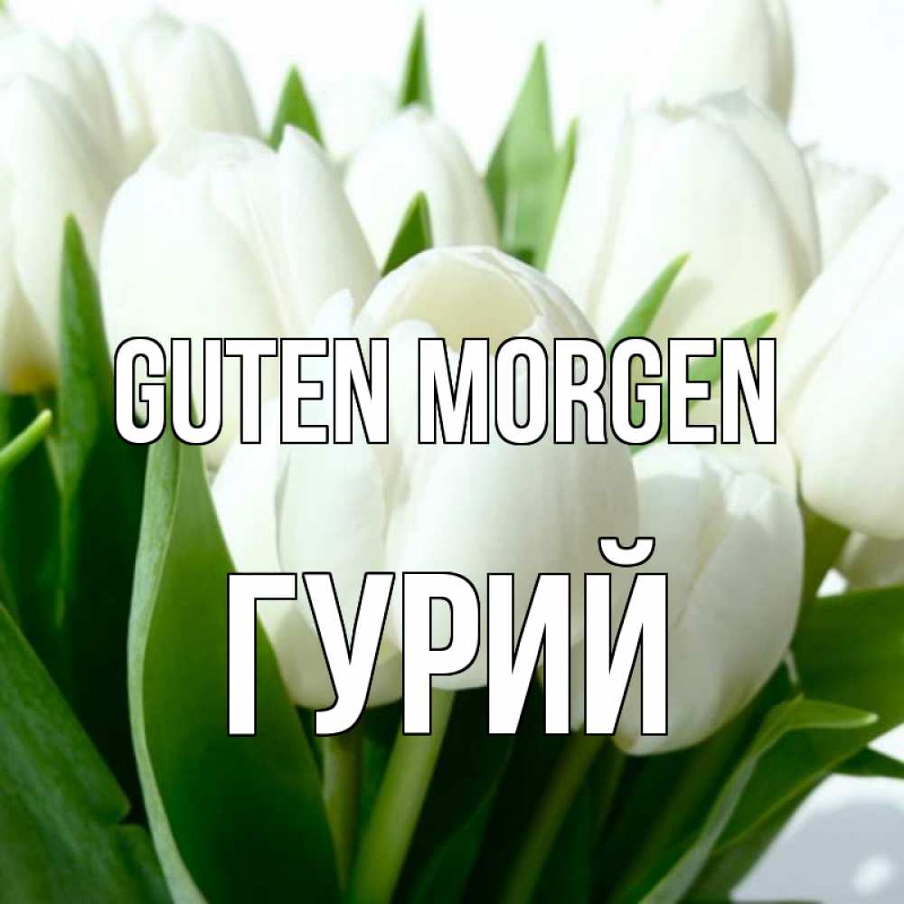 Открытка на каждый день с именем, Гурий Guten Morgen открытки на каждый день по именам Прикольная открытка с пожеланием онлайн скачать бесплатно 