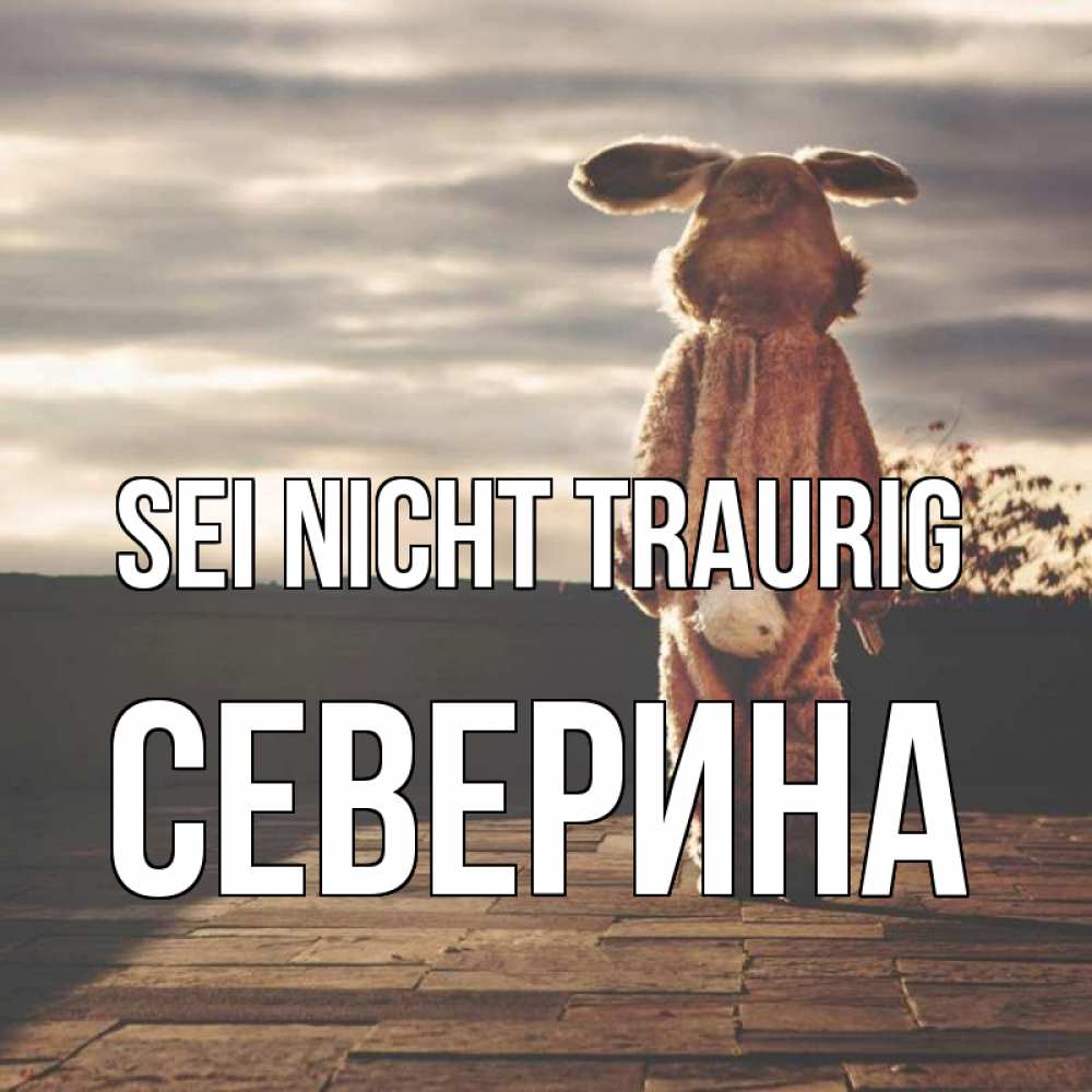 Открытка на каждый день с именем, Северина Sei nicht traurig со спины Прикольная открытка с пожеланием онлайн скачать бесплатно 