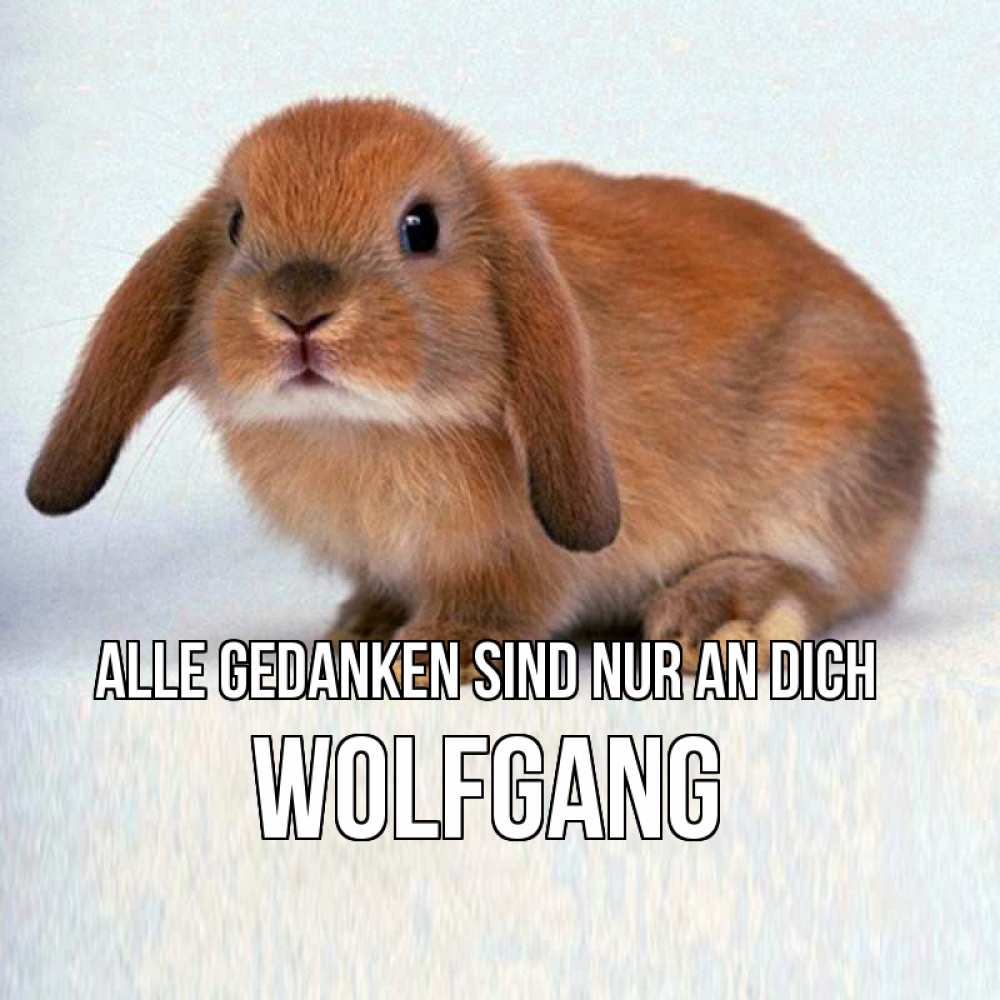 Открытка на каждый день с именем, Wolfgang Alle Gedanken sind nur an dich кроль коричневый Прикольная открытка с пожеланием онлайн скачать бесплатно 