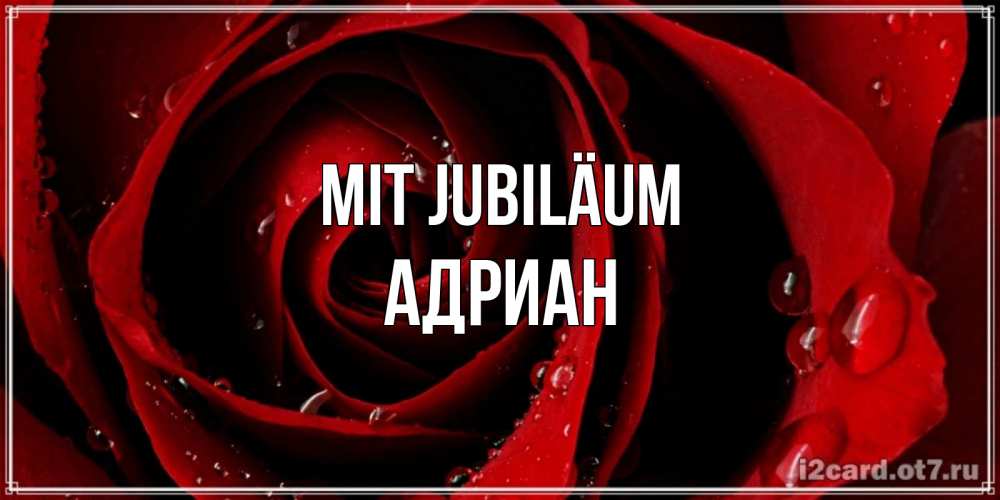 Открытка на каждый день с именем, Адриан Mit Jubiläum крупная бордовая роза Прикольная открытка с пожеланием онлайн скачать бесплатно 
