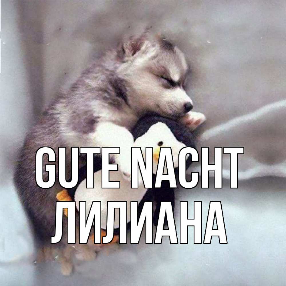 Открытка на каждый день с именем, Лилиана Gute Nacht обнимашки щенка и пингвина Прикольная открытка с пожеланием онлайн скачать бесплатно 
