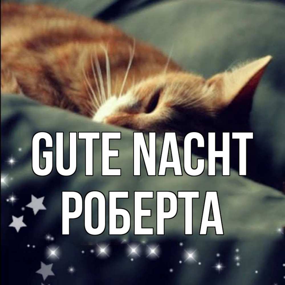 Открытка на каждый день с именем, Роберта Gute Nacht кроватка Прикольная открытка с пожеланием онлайн скачать бесплатно 