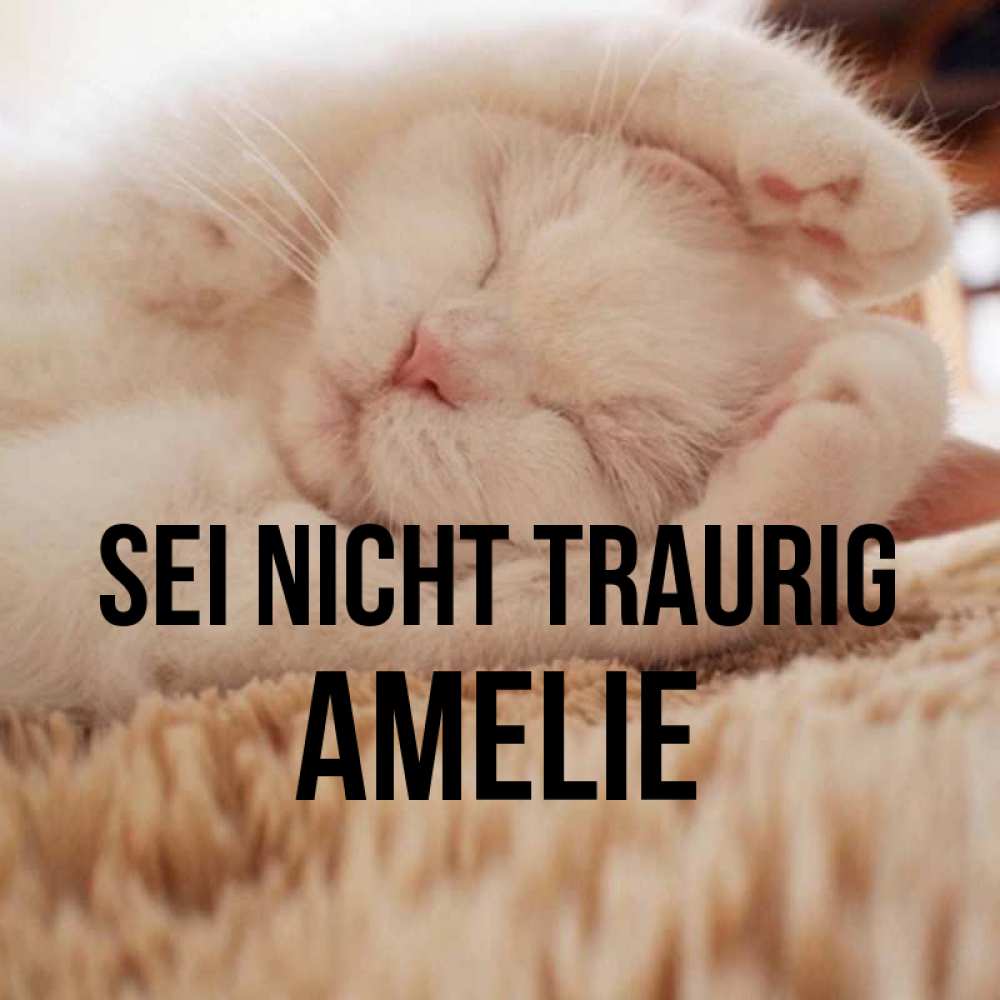 Открытка на каждый день с именем, Amelie Sei nicht traurig Котенок спит Прикольная открытка с пожеланием онлайн скачать бесплатно 
