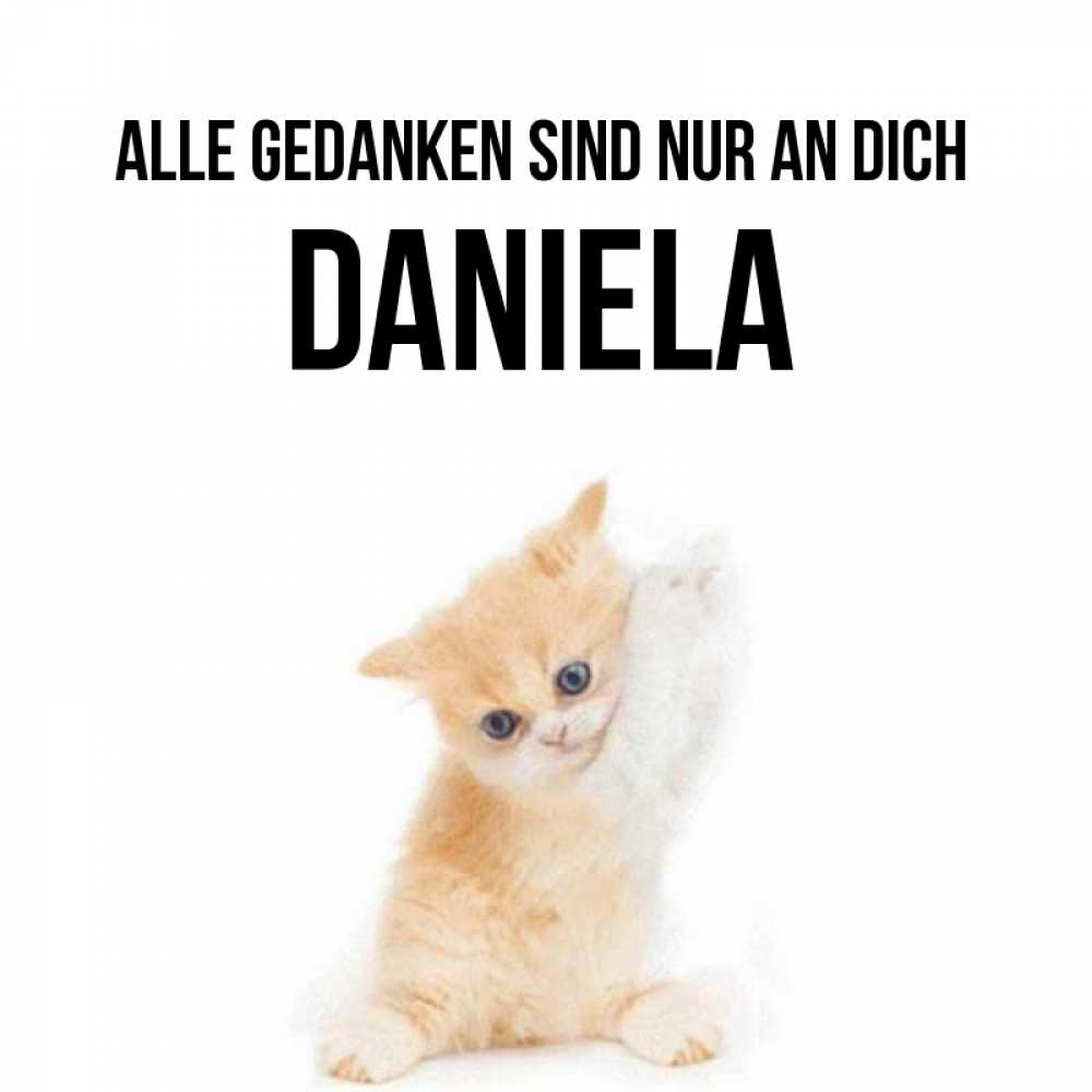 Открытка на каждый день с именем, Daniela Alle Gedanken sind nur an dich зверушки и милота Прикольная открытка с пожеланием онлайн скачать бесплатно 