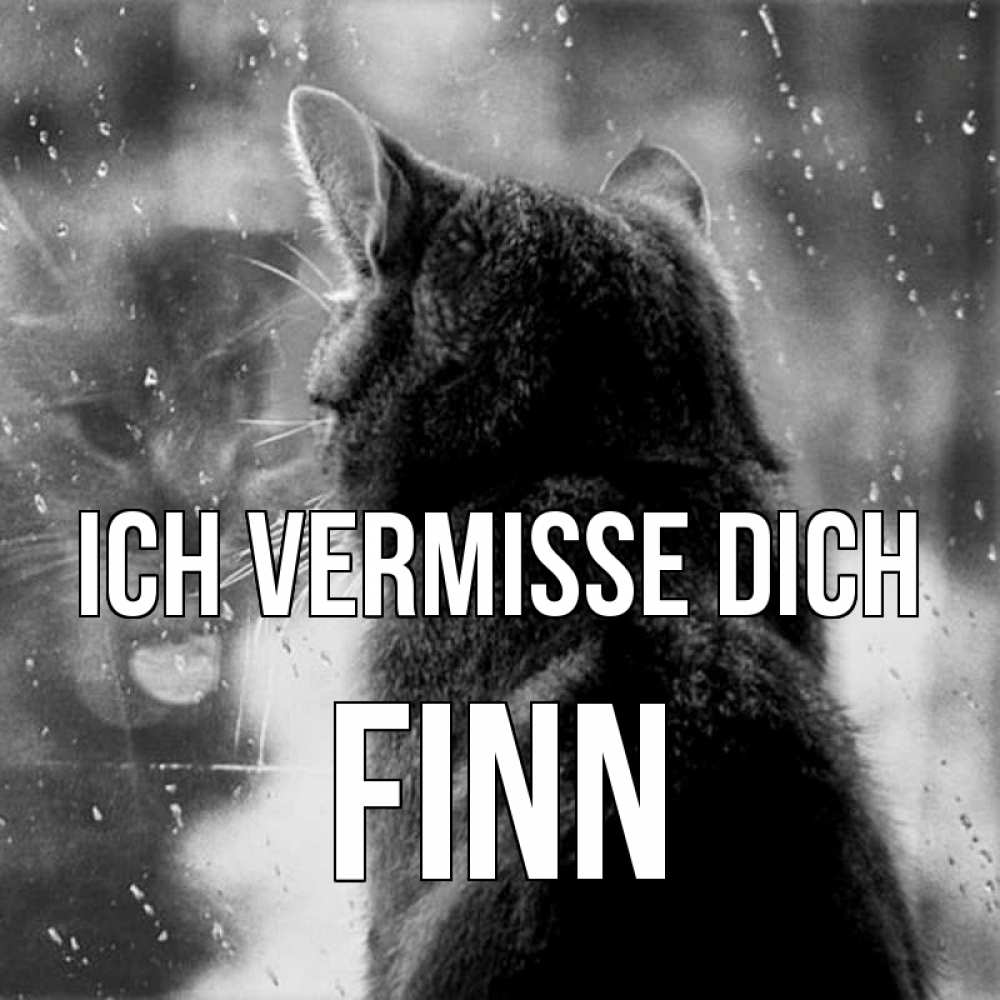 Открытка на каждый день с именем, Finn Ich vermisse dich скорее ко мне приходи 1 Прикольная открытка с пожеланием онлайн скачать бесплатно 