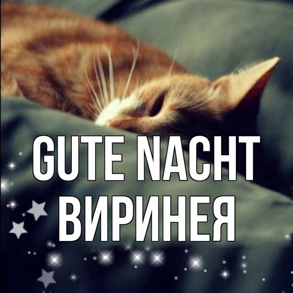 Открытка на каждый день с именем, Виринея Gute Nacht кроватка Прикольная открытка с пожеланием онлайн скачать бесплатно 