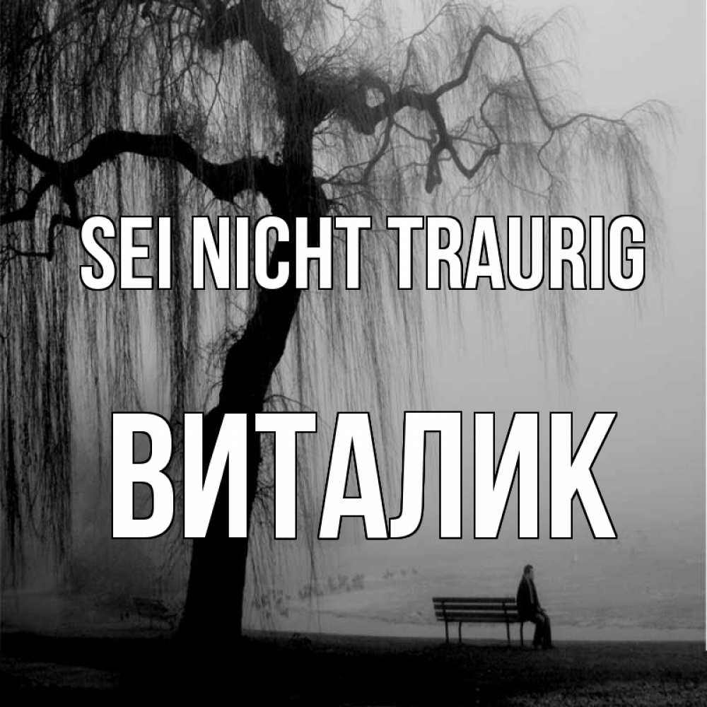 Открытка на каждый день с именем, Виталик Sei nicht traurig висящие ветки дерева и лавочка под деревом Прикольная открытка с пожеланием онлайн скачать бесплатно 