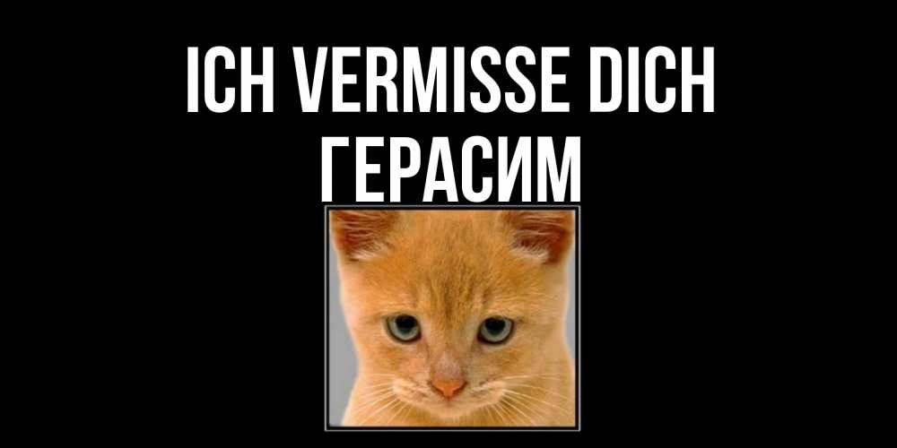 Открытка на каждый день с именем, Герасим Ich vermisse dich открытки рыжий котенок скучает по тебе Прикольная открытка с пожеланием онлайн скачать бесплатно 