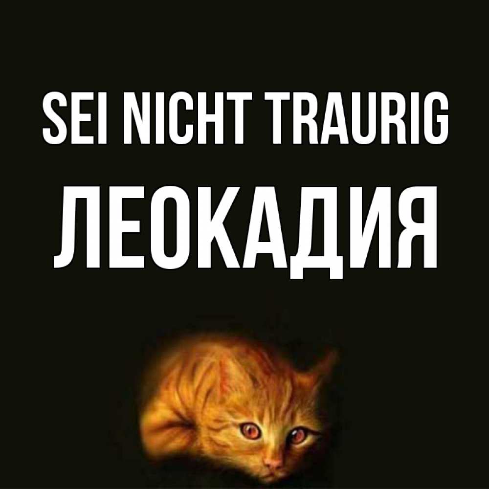 Открытка на каждый день с именем, Леокадия Sei nicht traurig лежащий кот в темноте Прикольная открытка с пожеланием онлайн скачать бесплатно 