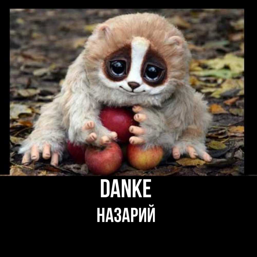 Открытка на каждый день с именем, Назарий Danke прикольное животное Прикольная открытка с пожеланием онлайн скачать бесплатно 