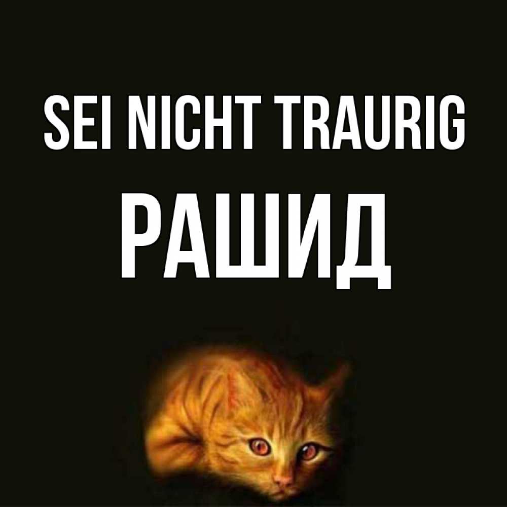 Открытка на каждый день с именем, Рашид Sei nicht traurig лежащий кот в темноте Прикольная открытка с пожеланием онлайн скачать бесплатно 