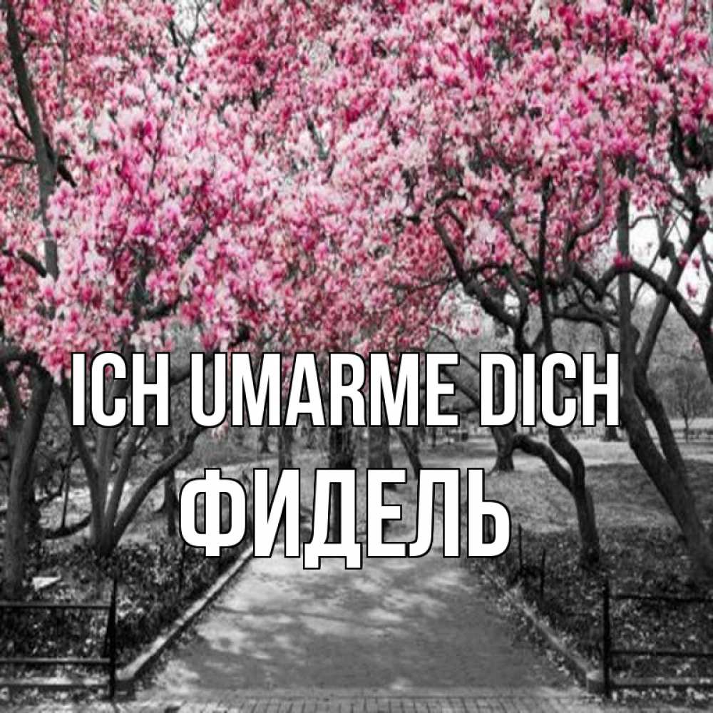 Открытка на каждый день с именем, Фидель Ich umarme dich обработанное фото Прикольная открытка с пожеланием онлайн скачать бесплатно 