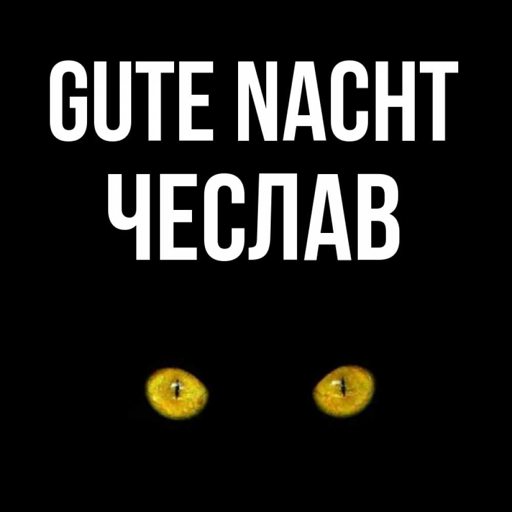 Открытка на каждый день с именем, Чеслав Gute Nacht сладких снов бесстрашный мой дружочек Прикольная открытка с пожеланием онлайн скачать бесплатно 