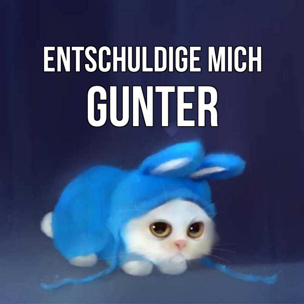 Открытка на каждый день с именем, Gunter Entschuldige mich невинный котозай просит прощения Прикольная открытка с пожеланием онлайн скачать бесплатно 