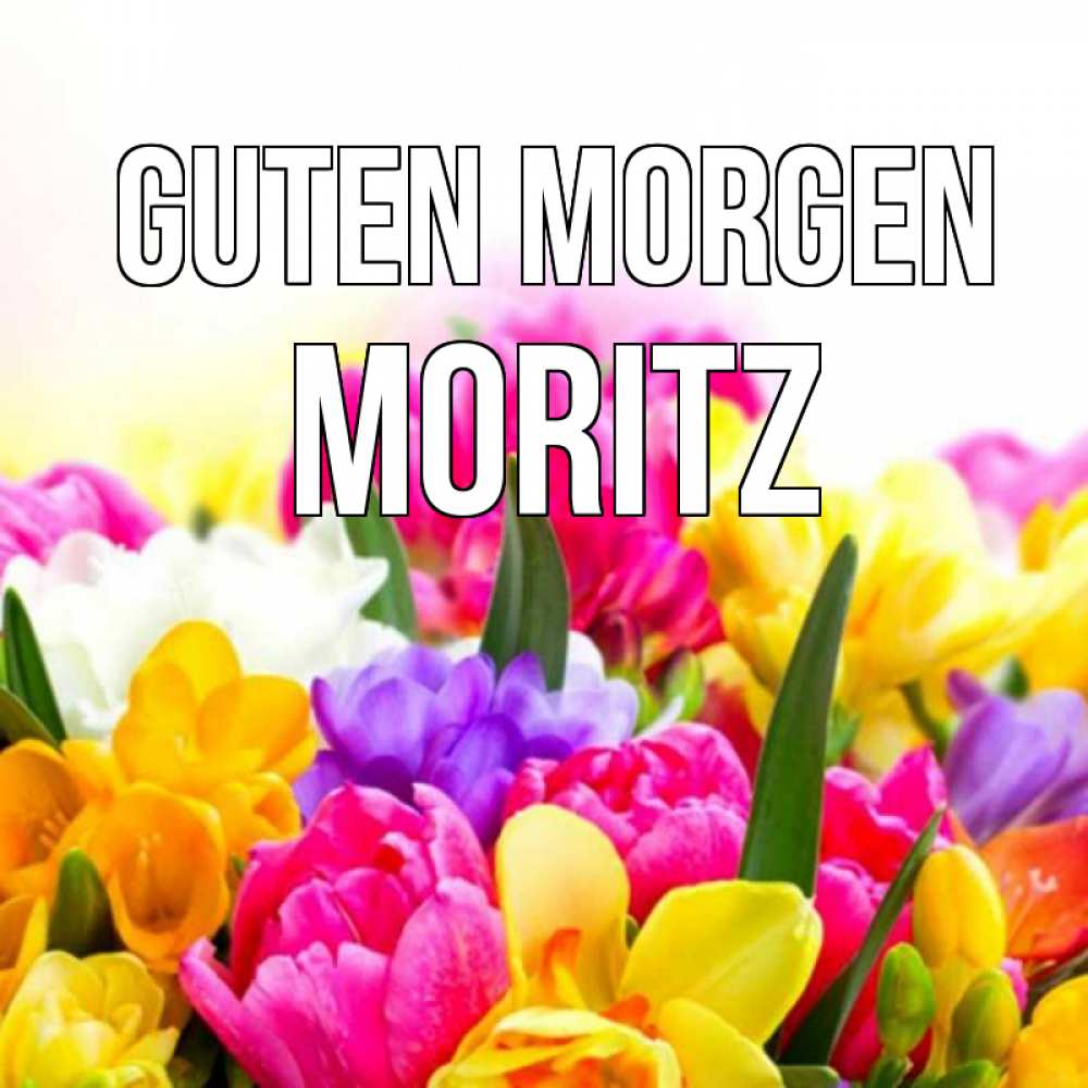 Открытка на каждый день с именем, Moritz Guten Morgen создать открытку со свое подписью Прикольная открытка с пожеланием онлайн скачать бесплатно 