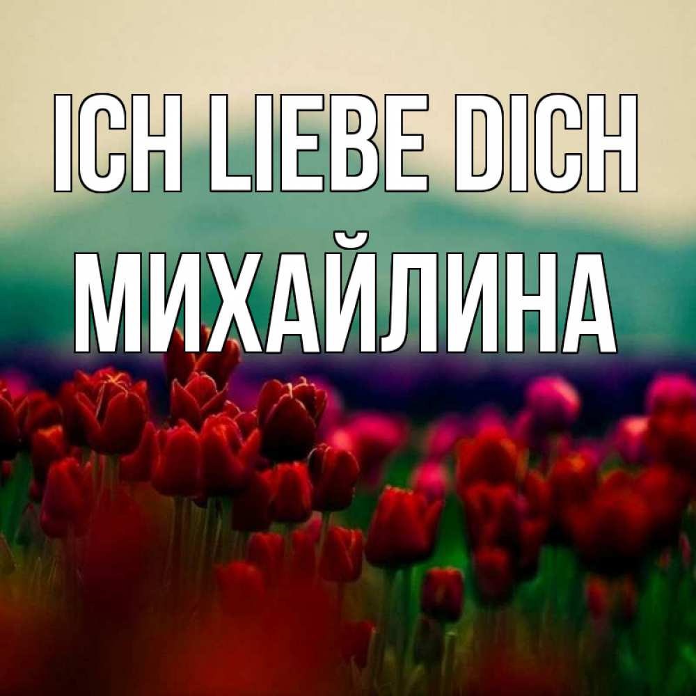 Открытка на каждый день с именем, Михайлина Ich liebe dich тюльпаны 4 Прикольная открытка с пожеланием онлайн скачать бесплатно 