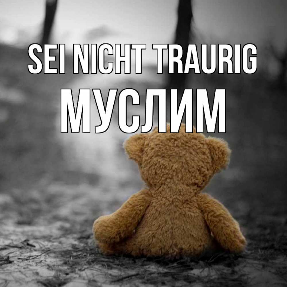 Открытка на каждый день с именем, Муслим Sei nicht traurig медведь со спин Прикольная открытка с пожеланием онлайн скачать бесплатно 