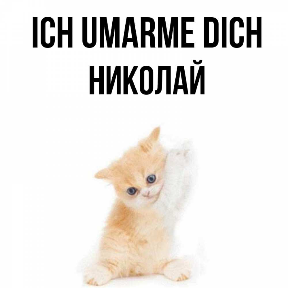 Открытка на каждый день с именем, Николай Ich umarme dich я хочу очень скорее обнимаешек Прикольная открытка с пожеланием онлайн скачать бесплатно 