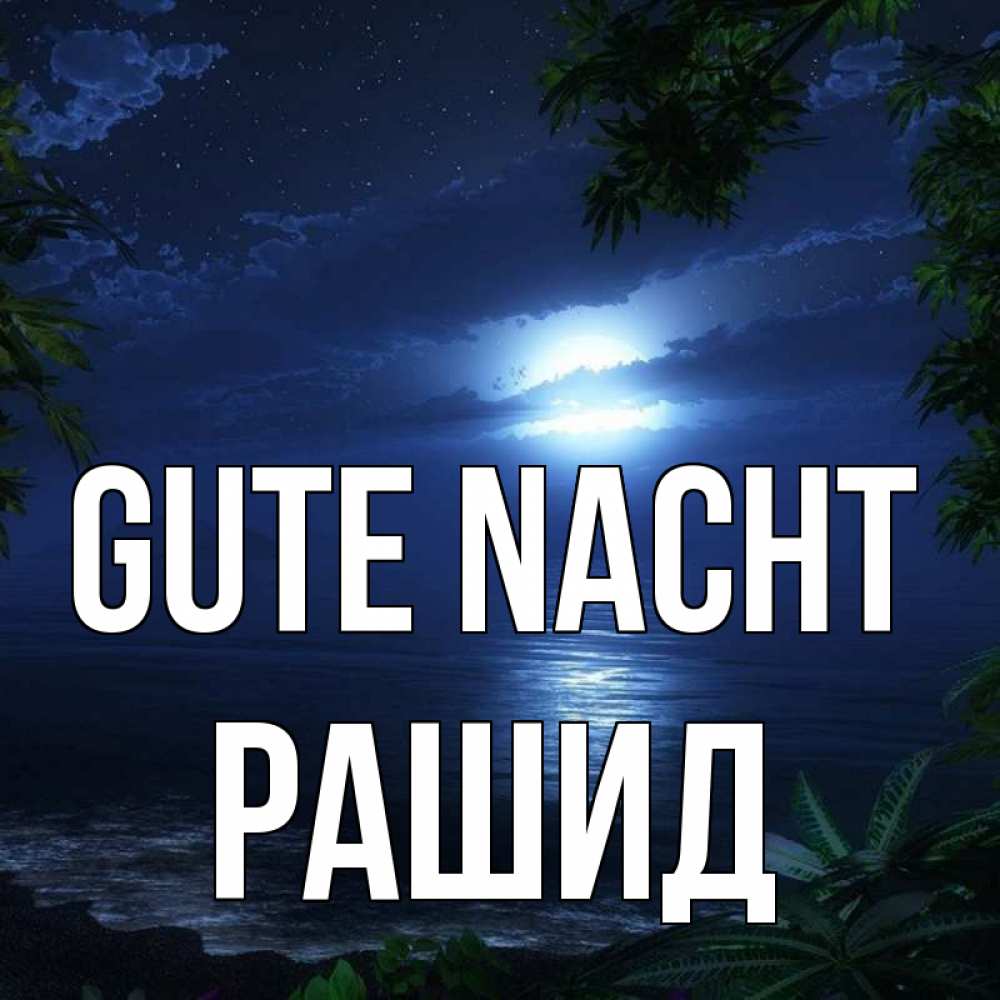 Открытка на каждый день с именем, Рашид Gute Nacht тропический остров Прикольная открытка с пожеланием онлайн скачать бесплатно 