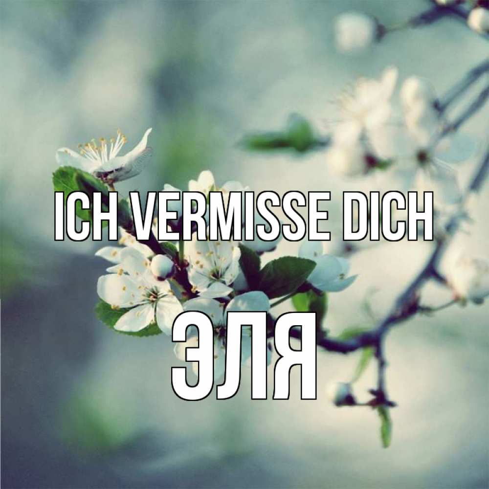 Открытка на каждый день с именем, Эля Ich vermisse dich весна Прикольная открытка с пожеланием онлайн скачать бесплатно 