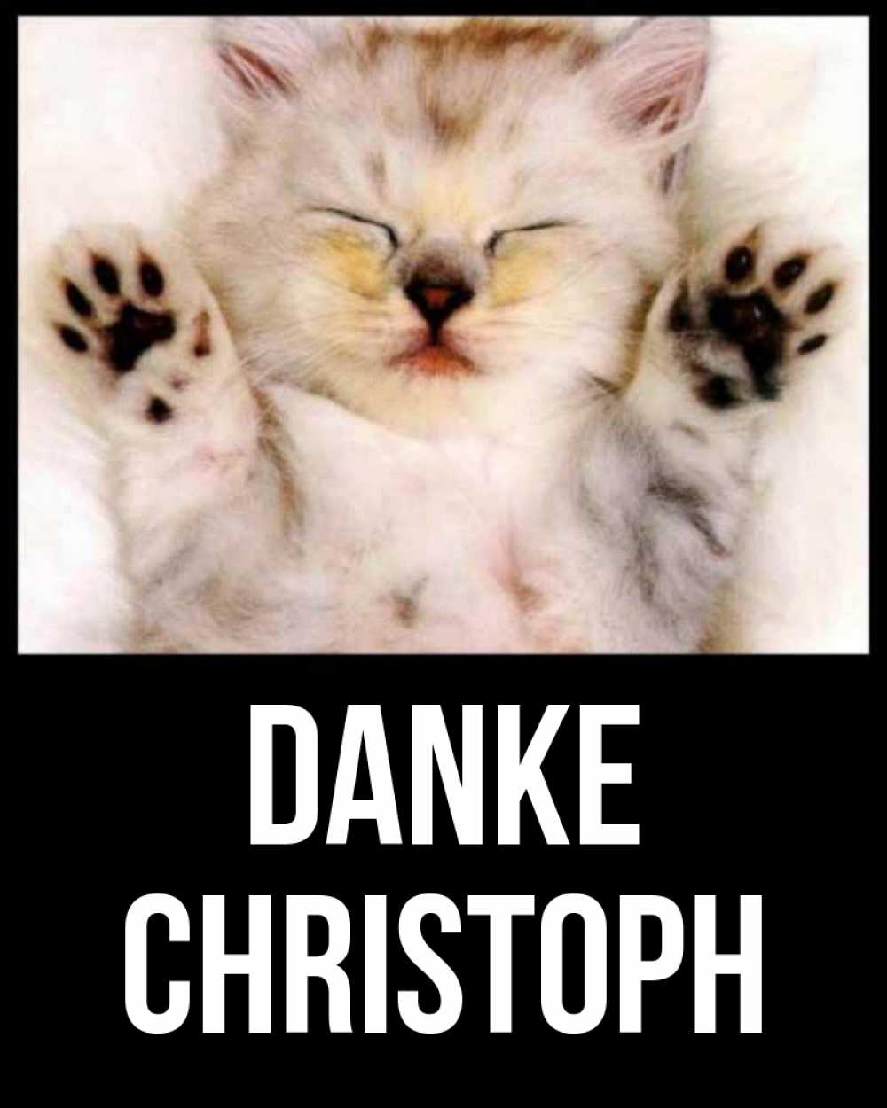 Открытка на каждый день с именем, Christoph Danke маленький котенок Прикольная открытка с пожеланием онлайн скачать бесплатно 