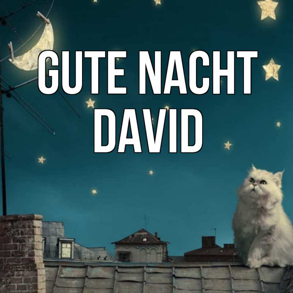 Открытка на каждый день с именем, David Gute Nacht белый кот сидит на крыше Прикольная открытка с пожеланием онлайн скачать бесплатно 
