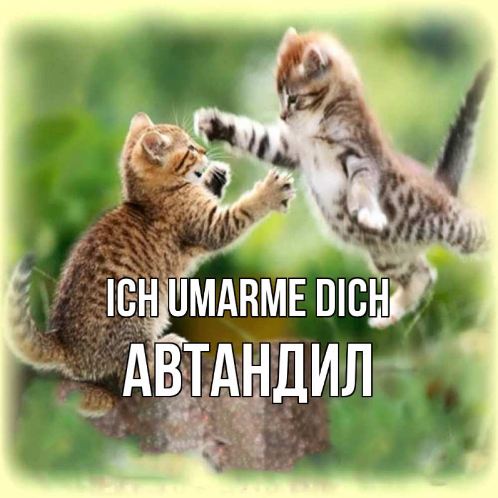 Открытка на каждый день с именем, Автандил Ich umarme dich игры котят Прикольная открытка с пожеланием онлайн скачать бесплатно 