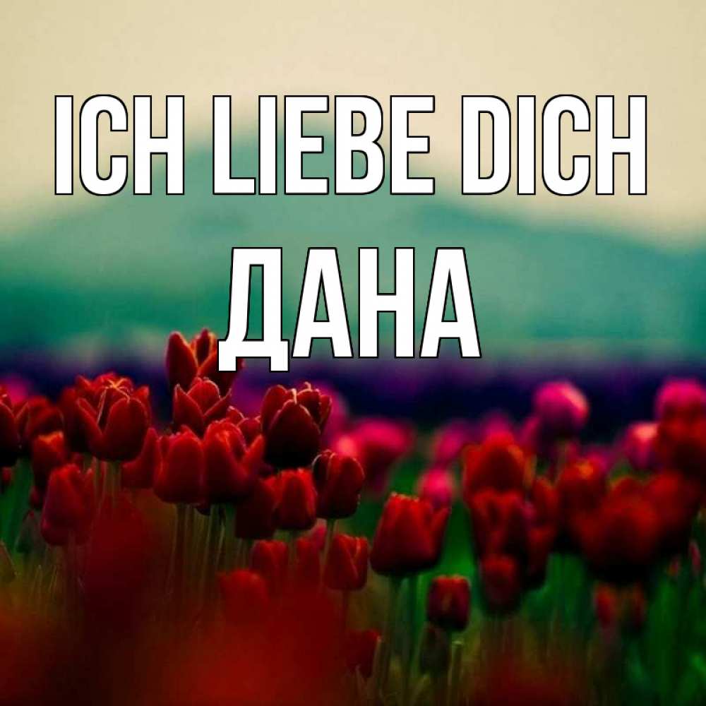 Открытка на каждый день с именем, Дана Ich liebe dich тюльпаны 4 Прикольная открытка с пожеланием онлайн скачать бесплатно 