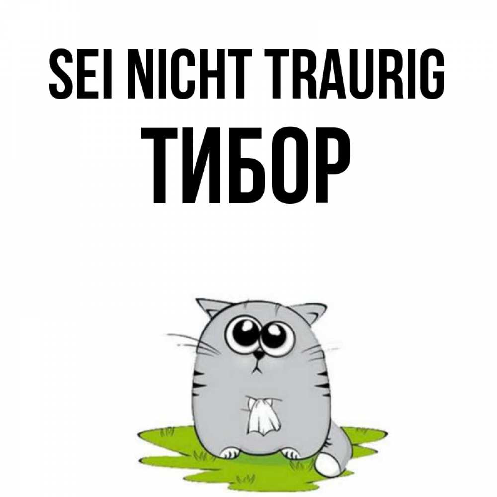 Открытка на каждый день с именем, Тибор Sei nicht traurig грустный котяра Прикольная открытка с пожеланием онлайн скачать бесплатно 
