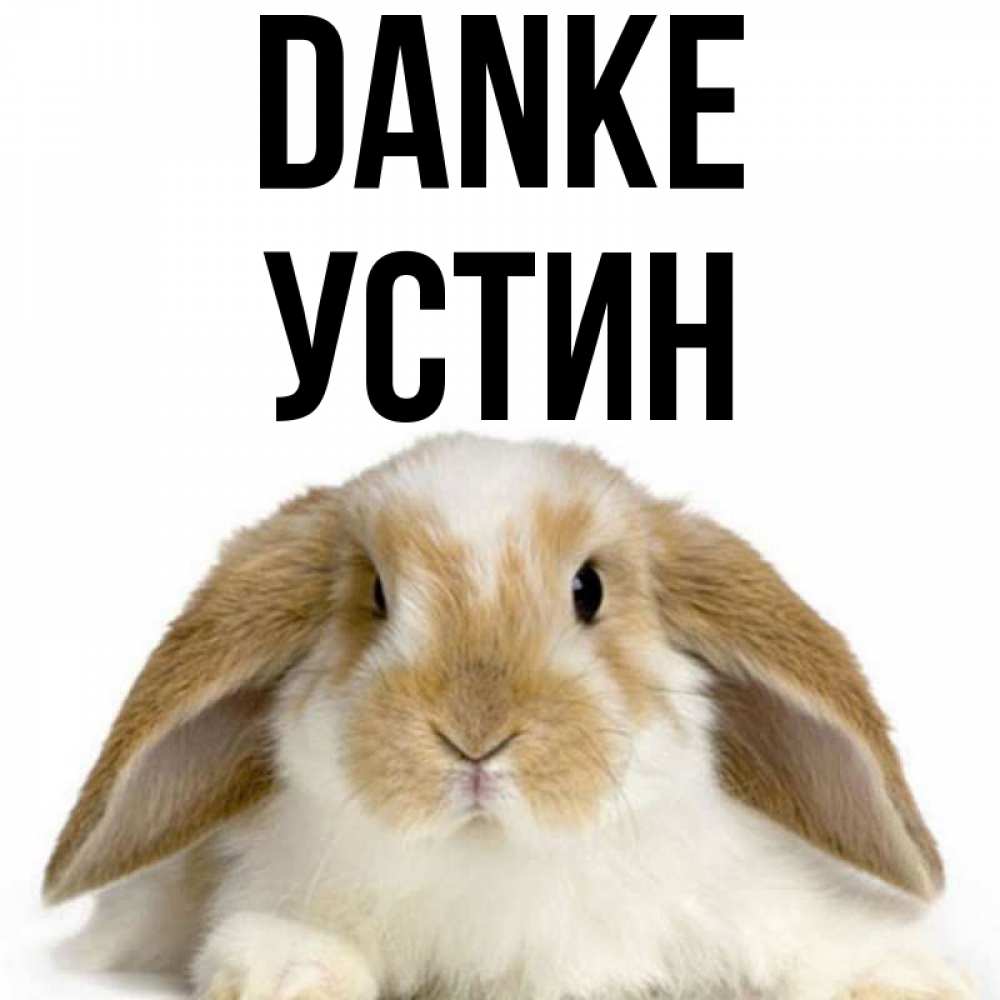 Открытка на каждый день с именем, Устин Danke коричнево белый заяц Прикольная открытка с пожеланием онлайн скачать бесплатно 