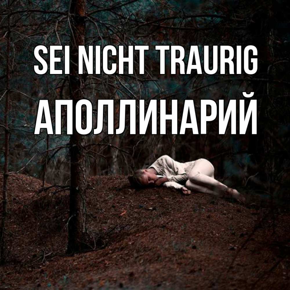 Открытка на каждый день с именем, Аполлинарий Sei nicht traurig лес Прикольная открытка с пожеланием онлайн скачать бесплатно 