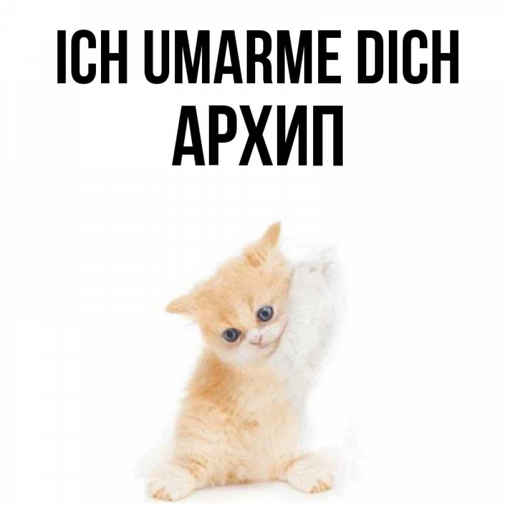 Открытка на каждый день с именем, Архип Ich umarme dich я хочу очень скорее обнимаешек Прикольная открытка с пожеланием онлайн скачать бесплатно 