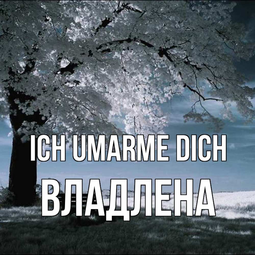 Открытка на каждый день с именем, Владлена Ich umarme dich дерево Прикольная открытка с пожеланием онлайн скачать бесплатно 