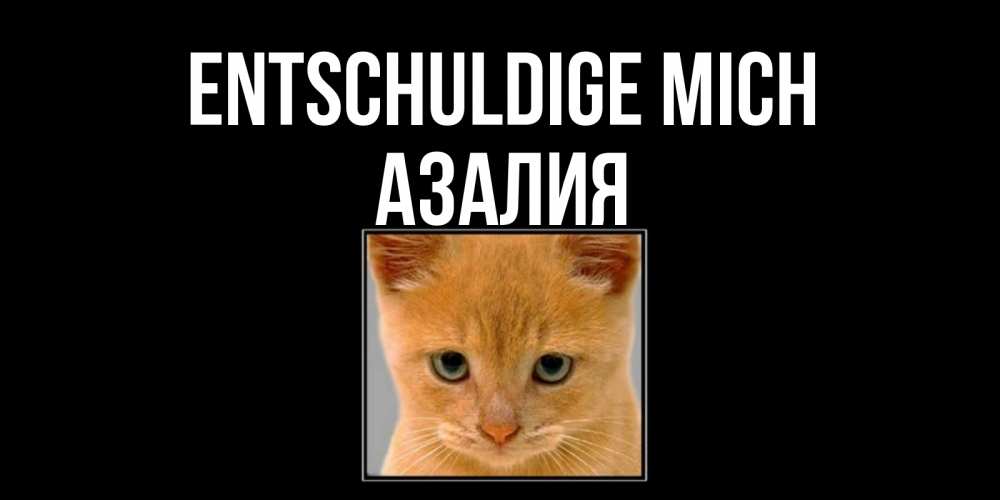 Открытка на каждый день с именем, Азалия Entschuldige mich рыжий грустный кот просит прощения Прикольная открытка с пожеланием онлайн скачать бесплатно 