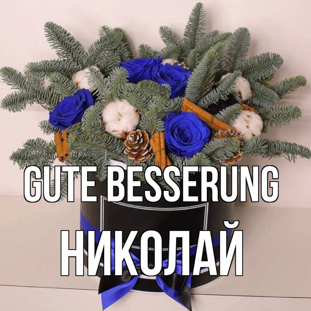 Открытка на каждый день с именем, Николай Gute Besserung короче кто то загрузил эти шишки Прикольная открытка с пожеланием онлайн скачать бесплатно 