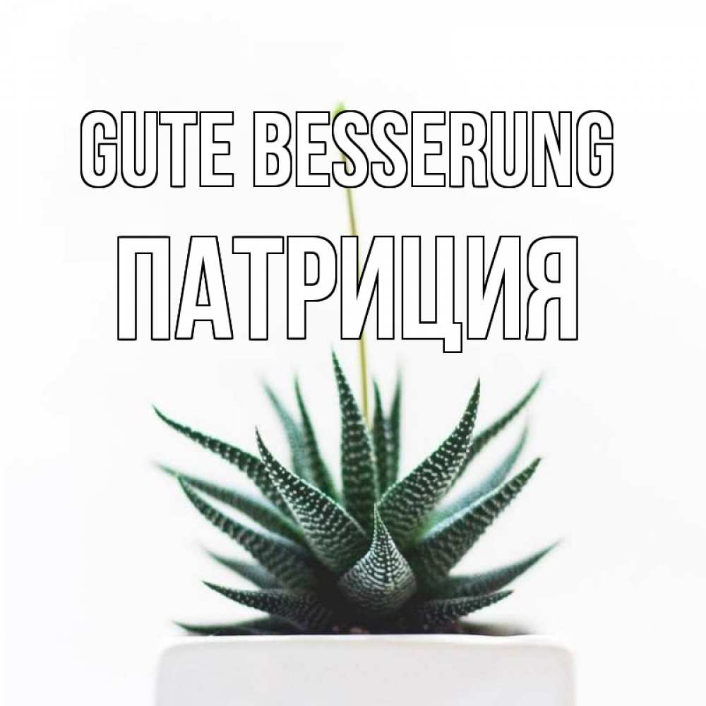 Открытка на каждый день с именем, Патриция Gute Besserung короче это непонятная колючка Прикольная открытка с пожеланием онлайн скачать бесплатно 