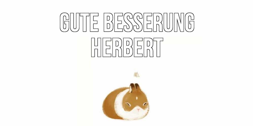 Открытка на каждый день с именем, Herbert Gute Besserung морская свинка на открытке с пожеланиями не болеть Прикольная открытка с пожеланием онлайн скачать бесплатно 