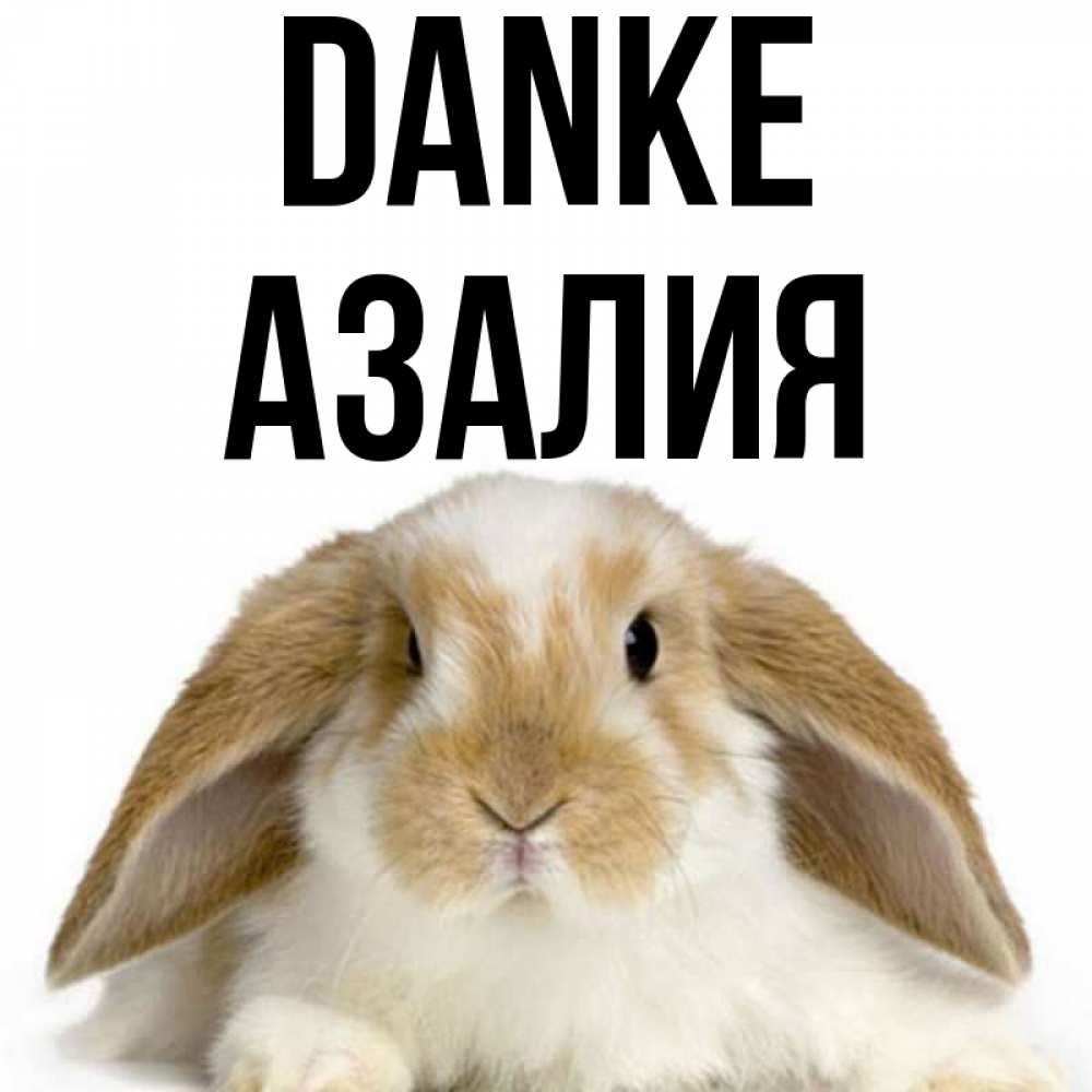 Открытка на каждый день с именем, Азалия Danke коричнево белый заяц Прикольная открытка с пожеланием онлайн скачать бесплатно 