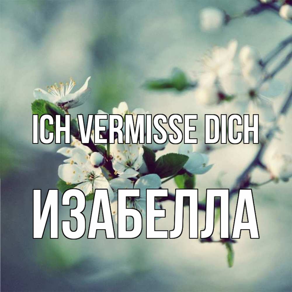 Открытка на каждый день с именем, Изабелла Ich vermisse dich весна Прикольная открытка с пожеланием онлайн скачать бесплатно 