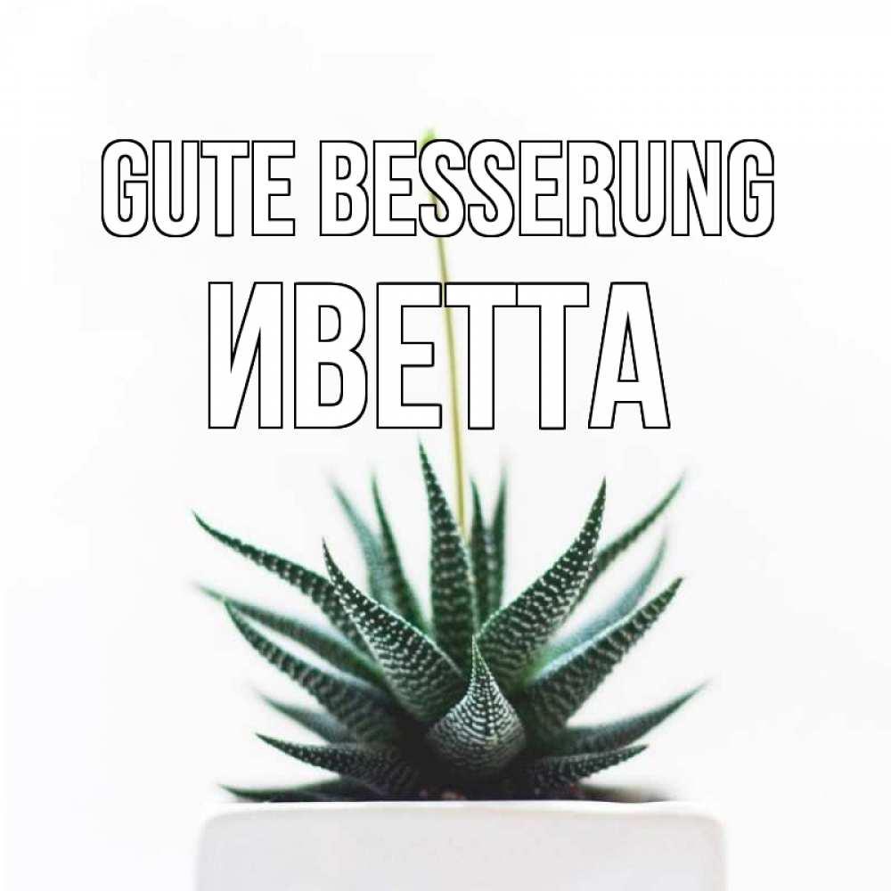 Открытка на каждый день с именем, Иветта Gute Besserung короче это непонятная колючка Прикольная открытка с пожеланием онлайн скачать бесплатно 