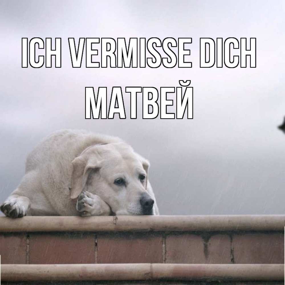Открытка на каждый день с именем, Матвей Ich vermisse dich ждет Прикольная открытка с пожеланием онлайн скачать бесплатно 