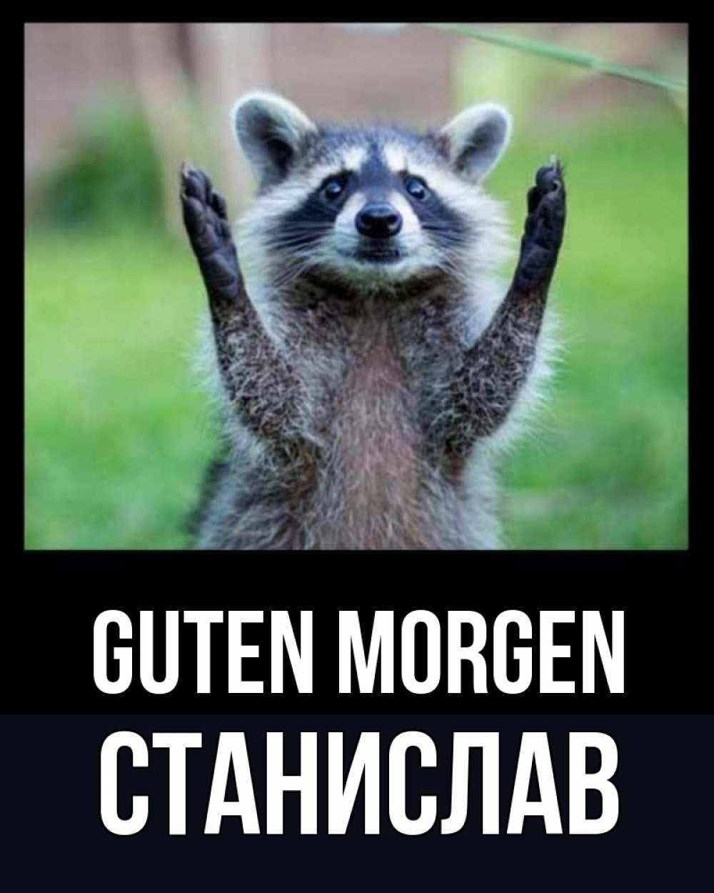 Открытка на каждый день с именем, Станислав Guten Morgen хорошее настроение утречком Прикольная открытка с пожеланием онлайн скачать бесплатно 